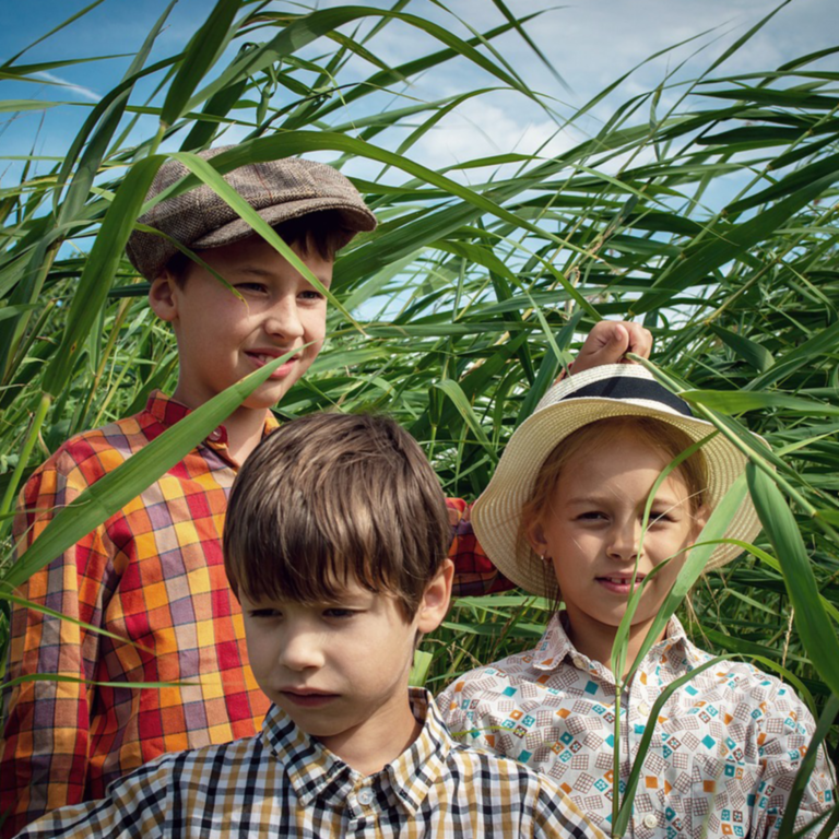 Enfants au milieu des champs